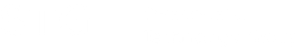 STG, Swanswater Technology Group